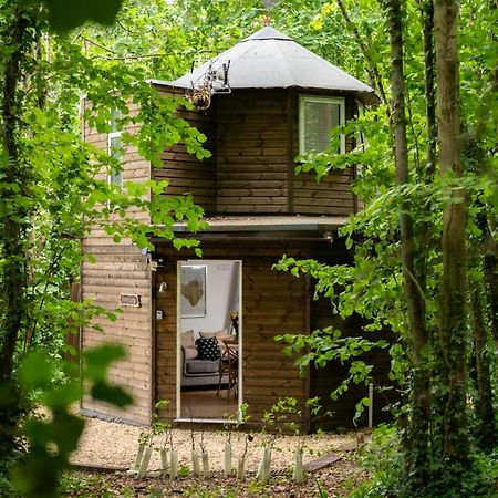 布兰德福德福鲁姆Honeycombe - Treehouse In The Heart Of Dorset别墅 外观 照片