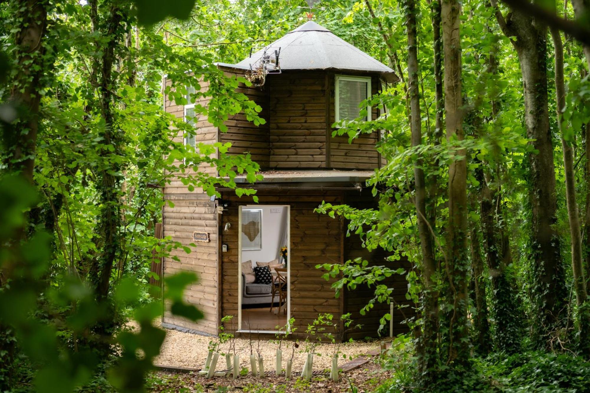 布兰德福德福鲁姆Honeycombe - Treehouse In The Heart Of Dorset别墅 外观 照片