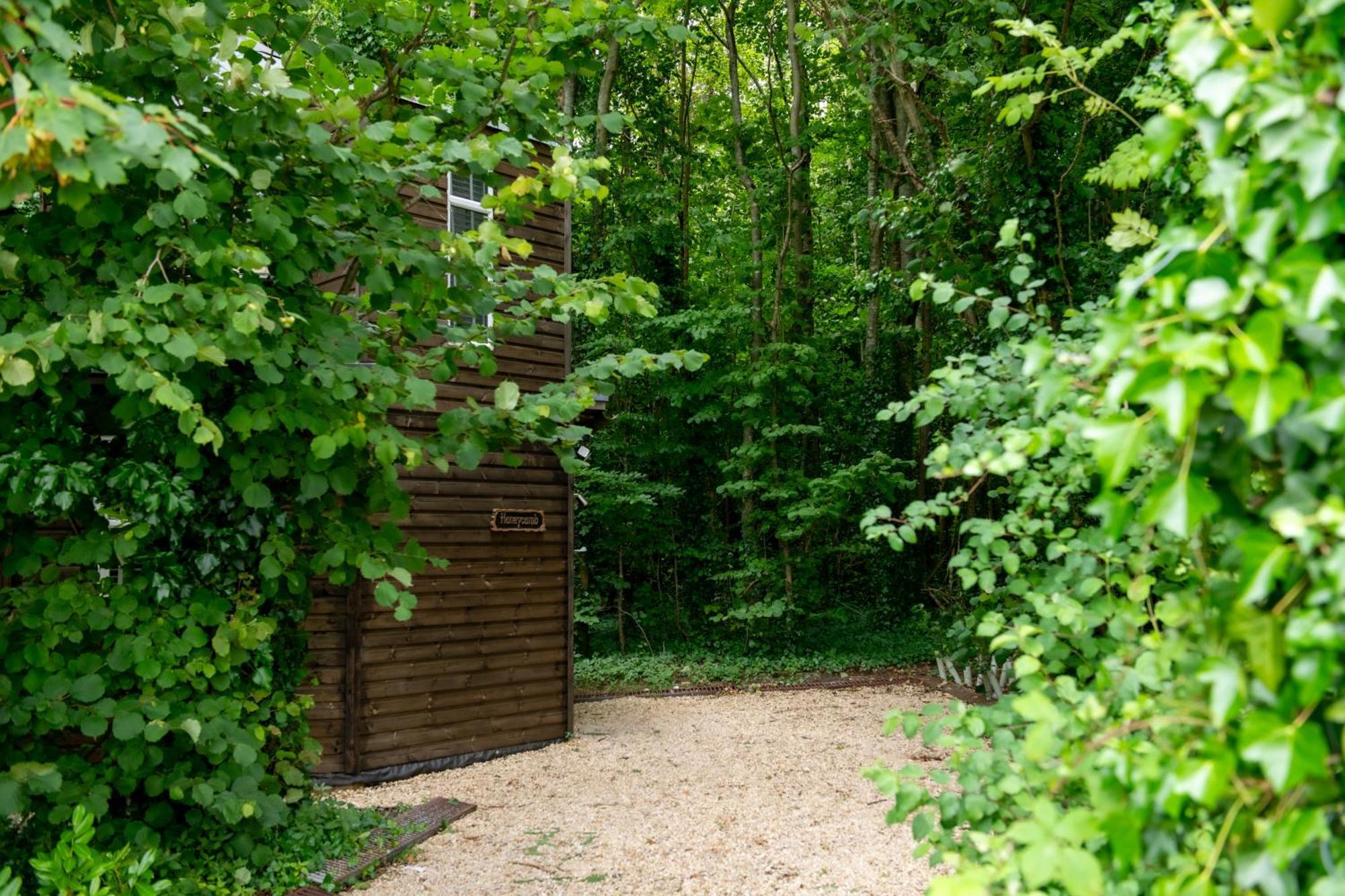 布兰德福德福鲁姆Honeycombe - Treehouse In The Heart Of Dorset别墅 外观 照片